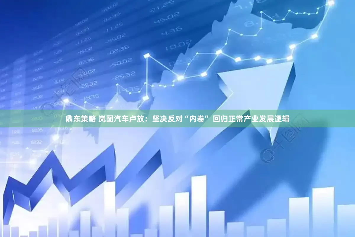 鼎东策略 岚图汽车卢放：坚决反对“内卷” 回归正常产业发展逻辑