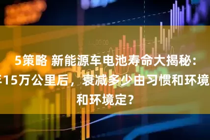 5策略 新能源车电池寿命大揭秘：8年15万公里后，衰减多少由习惯和环境定？