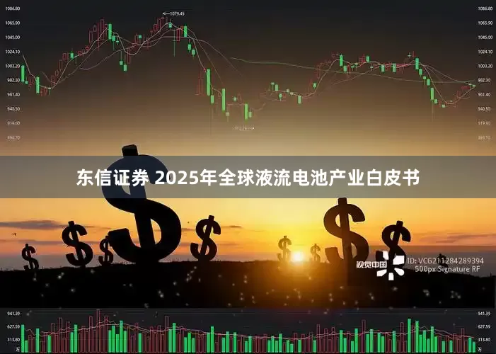 东信证券 2025年全球液流电池产业白皮书